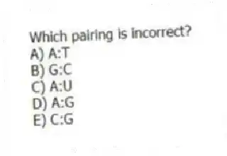 Which pairing is incorrect?
A) A:T
B) G:C
C) A:U
D) A:G
E) C:G