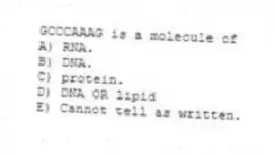 GCCCAAAG is a molecule of
A) RNA.
B) DNA.
C) protein.
D) DNA OR lipid
E) Cannot tell as written.