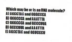 Which may be or is an RNA molecule?
A) AGCCTAC and GGGCCCA
B) GGGCCCA and AAATTTA
C) GGGCCCA and GCCCUUA
D) GCCCUUA and AAATTTA
E) AGCCTAC and GGUCCCU