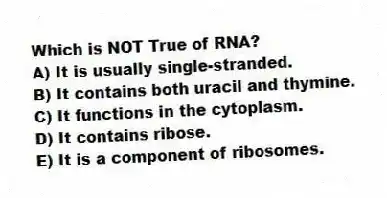 Which is NOT True of RNA?
A) It is usually single-stranded.
B) It contains both uracil and thymine.
C) It functions in the cytoplasm.
D) It contains ribose.
E) It is a component of ribosomes.