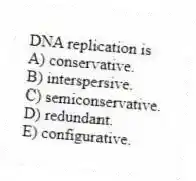 DNA replication is
A) conservative.
B) interspersive.
C) semiconservative.
D) redundant.
E) configurative.