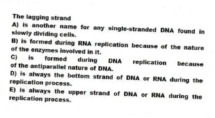 The lagging strand
A) is another name for any single-stranded DNA found in slowly dividing cells.
B) is formed during RNA replication because of the nature of the enzymes involved in it.
C) is formed during DNA replication because of the antiparallel nature of DNA.
D) is always the bottom strand of DNA or RNA during the replication process.
E) is always the upper strand of DNA or RNA during the replication process.