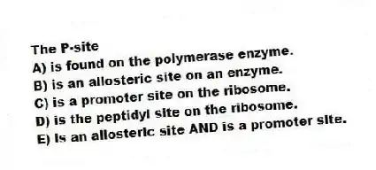 The P-site
A) is found on the polymerase enzyme.
B) is an allosteric site on an enzyme.
C) is a promoter site on the ribosome.
D) is the peptidyl site on the ribosome.
E) is an allosteric site AND is a promoter site.