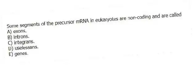 Some segments of the precursor mRNA in eukaryotes are non-coding and are called
A) exons.
B) introns.
C) integrans.
D) uselessans.
E) genes.
