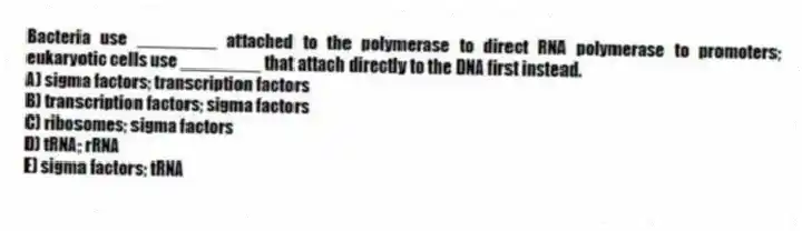 Bacteria use ________ attached to the polymerase to direct RNA polymerase to promoters; eukaryotic cells use ________ that attach directly to the DNA first instead.
A) sigma factors; transcription factors
B) transcription factors; sigma factors
C) ribosomes; sigma factors
D) tRNA; rRNA
E) sigma factors; tRNA