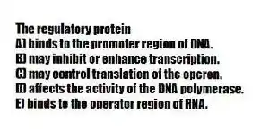 The regulatory protein
A) binds to the promoter region of DNA.
B) may inhibit or enhance transcription.
C) may control translation of the operon.
D) affects the activity of the DNA polymerase.
E) binds to the operator region of RNA.