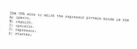 The DNA site to which the repressor protein binds is the
A) operon.
B) regulon.
C) operator.
D) repressor.
E) starter.