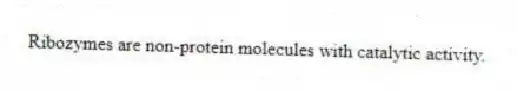 Ribozymes are non-protein molecules with catalytic activity.
