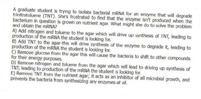 A graduate student is trying to isolate bacterial mRNA for an enzyme that will degrade trinitrotoluene (TNT). She's frustrated to find that the enzyme isn't produced when the bacterium in question is grown on nutrient agar. What might she do to solve the problem and obtain the mRNA?
A) Add nitrogen and toluene to the agar which will drive up synthesis of TNT, leading to production of the mRNA the student is looking for.
B) Add TNT to the agar-this will drive synthesis of the enzyme to degrade it, leading to production of the mRNA the student is looking for.
C) Remove glucose from the agar-this will cause the bacteria to shift to other compounds for their energy purposes.
D) Remove nitrogen and toluene from the agar which will lead to driving up synthesis of TNT, leading to production of the mRNA the student is looking for.
E) Remove TNT from the nutrient agar; it acts as an inhibitor of all microbial growth, and prevents the bacteria from synthesizing any enzymes at all.
