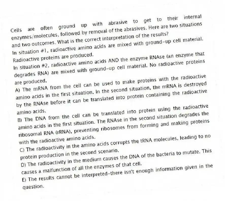 Cells are often ground up with abrasive to get to their internal enzymes/molecules, followed by removal of the abrasives. Here are two situations and two outcomes. What is the correct interpretation of the results?
In situation #1, radioactive amino acids are mixed with ground-up cell material. Radioactive proteins are produced.
In situation #2, radioactive amino acids AND the enzyme RNAse (an enzyme that degrades RNA) are mixed with ground-up cell material. No radioactive proteins are produced.
A) The mRNA from the cell can be used to make proteins with the radioactive amino acids in the first situation. In the second situation, the mRNA is destroyed by the RNAse before it can be translated into protein containing the radioactive amino acids.
B) The DNA from the cell can be translated into protein using the radioactive amino acids in the first situation. The RNAse in the second situation degrades the ribosomal RNA (rRNA), preventing ribosomes from forming and making proteins with the radioactive amino acids.
C) The radioactivity in the amino acids corrupts the tRNA molecules, leading to no protein production in the second scenario.
D) The radioactivity in the medium causes the DNA of the bacteria to mutate. This causes a malfunction of all the enzymes of that cell.
E) The results cannot be interpreted-there isn't enough information given in the question.