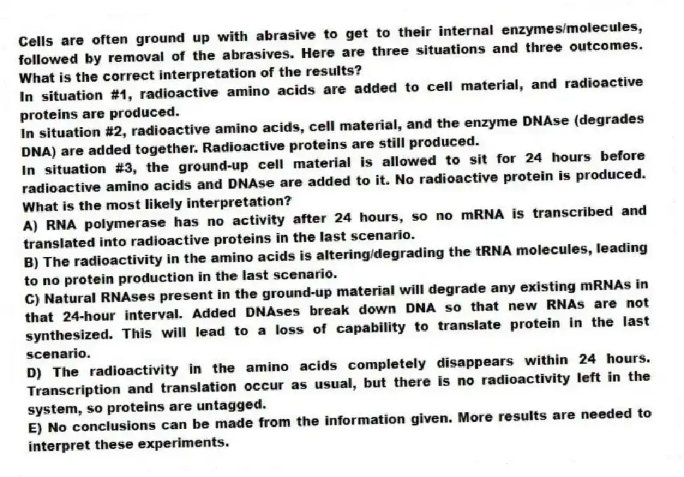 Cells are often ground up with abrasive to get to their internal enzymes/molecules, followed by removal of the abrasives. Here are three situations and three outcomes. What is the correct interpretation of the results?
In situation #1, radioactive amino acids are added to cell material, and radioactive proteins are produced.
In situation #2, radioactive amino acids, cell material, and the enzyme DNAse (degrades DNA) are added together. Radioactive proteins are still produced.
In situation #3, the ground-up cell material is allowed to sit for 24 hours before radioactive amino acids and DNAse are added to it. No radioactive protein is produced. What is the most likely interpretation?
A) RNA polymerase has no activity after 24 hours, so no mRNA is transcribed and translated into radioactive proteins in the last scenario.
B) The radioactivity in the amino acids is altering/degrading the tRNA molecules, leading to no protein production in the last scenario.
C) Natural RNAses present in the ground-up material will degrade any existing mRNAs in that 24-hour interval. Added DNAses break down DNA so that new RNAs are not synthesized. This will lead to a loss of capability to translate protein in the last scenario.
D) The radioactivity in the amino acids completely disappears within 24 hours. Transcription and translation occur as usual, but there is no radioactivity left in the system, so proteins are untagged.
E) No conclusions can be made from the information given. More results are needed to interpret these experiments.