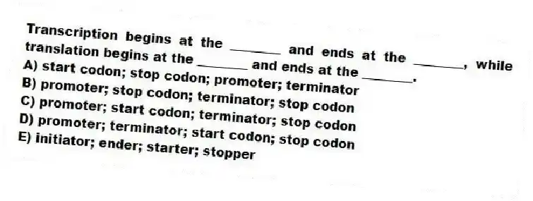 Transcription begins at the ________ and ends at the ________, while translation begins at the ________ and ends at the ________.
A) start codon; stop codon; promoter; terminator
B) promoter; stop codon; terminator; stop codon
C) promoter; start codon; terminator; stop codon
D) promoter; terminator; start codon; stop codon
E) initiator; ender; starter; stopper