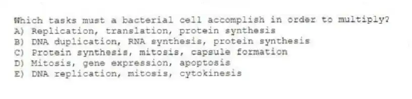 Which tasks must a bacterial cell accomplish in order to multiply?
A) Replication, translation, protein synthesis
B) DNA duplication, RNA synthesis, protein synthesis
C) Protein synthesis, mitosis, capsule formation
D) Mitosis, gene expression, apoptosis
E) DNA replication, mitosis, cytokinesis