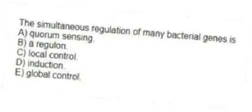 The simultaneous regulation of many bacterial genes is
A) quorum sensing.
B) a regulon.
C) local control.
D) induction.
E) global control.