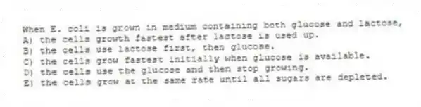 When E. coli is grown in medium containing both glucose and lactose, 
A) the cells growth fastest after lactose is used up.
B) the cells use lactose first, then glucose.
C) the cells grow fastest initially when glucose is available.
D) the cells use the glucose and then stop growing.
E) the cells grow at the same rate until all sugars are depleted.