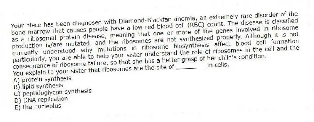 Your niece has been diagnosed with Diamond-Blackfan anemia, an extremely rare disorder of the bone marrow that causes people have a low red blood cell (RBC) count. The disease is classified as a ribosomal protein disease, meaning that one or more of the genes involved in ribosome production is/are mutated, and the ribosomes are not synthesized properly. Although it is not currently understood why mutations in ribosome biosynthesis affect blood cell formation particularly, you are able to help your sister understand the role of ribosomes in the cell and the consequence of ribosome failure, so that she has a better grasp of her child's condition.
-You explain to your sister that ribosomes are the site of ________ in cells.
A) protein synthesis
B) lipid synthesis
C) peptidoglycan synthesis
D) DNA replication
E) the nucleolus