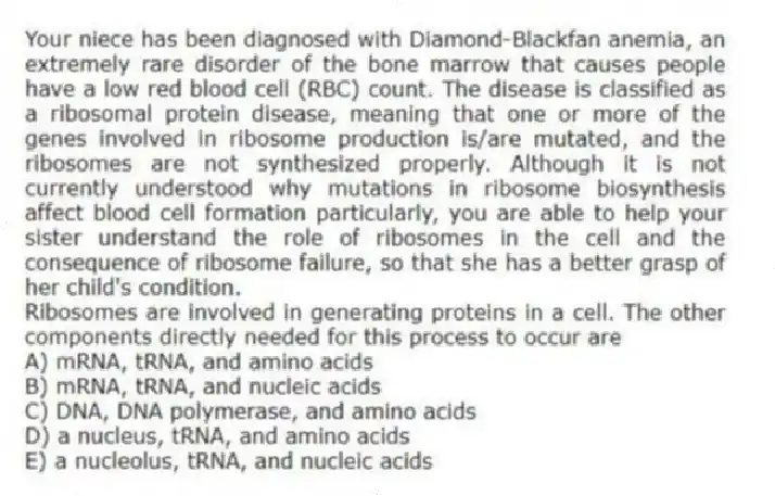 Your niece has been diagnosed with Diamond-Blackfan anemia, an extremely rare disorder of the bone marrow that causes people have a low red blood cell (RBC) count. The disease is classified as a ribosomal protein disease, meaning that one or more of the genes involved in ribosome production is/are mutated, and the ribosomes are not synthesized properly. Although it is not currently understood why mutations in ribosome biosynthesis affect blood cell formation particularly, you are able to help your sister understand the role of ribosomes in the cell and the consequence of ribosome failure, so that she has a better grasp of her child's condition.
-Ribosomes are involved in generating proteins in a cell. The other components directly needed for this process to occur are
A) mRNA, tRNA, and amino acids
B) mRNA, tRNA, and nucleic acids
C) DNA, DNA polymerase, and amino acids
D) a nucleus, tRNA, and amino acids
E) a nucleolus, tRNA, and nucleic acids
