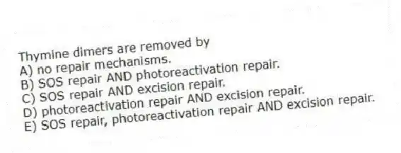 Thymine dimers are removed by
A) no repair mechanisms.
B) SOS repair AND photoreactivation repair.
C) SOS repair AND excision repair.
D) photoreactivation repair AND excision repair.
E) SOS repair, photoreactivation repair AND excision repair.