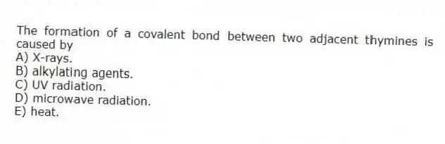 The formation of a covalent bond between two adjacent thymines is caused by
A) X-rays.
B) alkylating agents.
C) UV radiation.
D) microwave radiation.
E) heat.