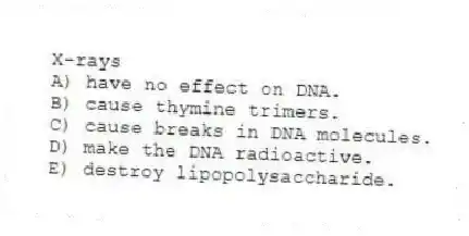 X-rays
A) have no effect on DNA.
B) cause thymine trimers.
C) cause breaks in DNA molecules.
D) make the DNA radioactive.
E) destroy lipopolysaccharide.