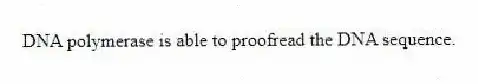 DNA polymerase is able to proofread the DNA sequence.