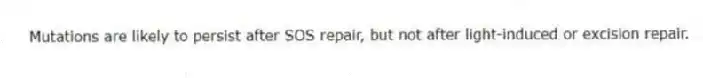 Mutations are likely to persist after SOS repair, but not after light-induced or excision repair.