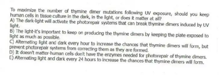 To maximize the number of thymine dimer mutations following UV exposure, should you keep human cells in tissue culture in the dark, in the light, or does it matter at all?
A) The dark-light will activate the photorepair systems that can break thymine dimers induced by UV light.
B) The light-it's important to keep on producing the thymine dimers by keeping the plate exposed to light as much as possible.
C) Alternating light and dark every hour to increase the chances that thymine dimers will form, but prevent photorepair systems from correcting them as they are formed.
D) It doesn't matter-human cells don't have the enzymes needed for photorepair of thymine dimers.
E) Alternating light and dark every 24 hours to increase the chances that thymine dimers will form.