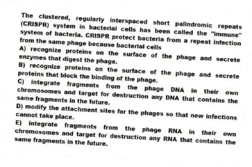 The clustered, regularly interspaced short palindromic repeats (CRISPR) system in bacterial cells has been called the "immune" system of bacteria. CRISPR protect bacteria from a repeat infection from the same phage because bacterial cells
A) recognize proteins on the surface of the phage and secrete enzymes that digest the phage.
B) recognize proteins on the surface of the phage and secrete proteins that block the binding of the phage.
C) integrate fragments from the phage DNA in their own chromosomes and target for destruction any DNA that contains the same fragments in the future.
D) modify the attachment sites for the phages so that new infections cannot take place.
E) integrate fragments from the phage RNA in their own chromosomes and target for destruction any RNA that contains the same fragments in the future.