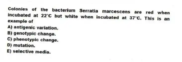 Colonies of the bacterium Serratia marcescens are red when incubated at 22°C but white when incubated at 37°C. This is an example of
A) antigenic variation.
B) genotypic change.
C) phenotypic change.
D) mutation.
E) selective media.