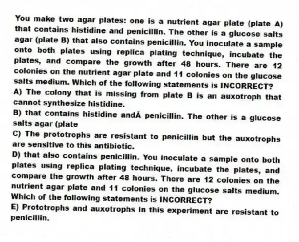 You make two agar plates: one is a nutrient agar plate (plate A) that contains histidine and penicillin. The other is a glucose salts agar (plate B) that also contains penicillin. You inoculate a sample onto both plates using replica plating technique, incubate the plates, and compare the growth after 48 hours. There are 12 colonies on the nutrient agar plate and 11 colonies on the glucose salts medium. Which of the following statements is INCORRECT?
A) The colony that is missing from plate B is an auxotroph that cannot synthesize histidine.
B) that contains histidine and penicillin. The other is a glucose salts agar (plate
C) The prototrophs are resistant to penicillin but the auxotrophs are sensitive to this antibiotic.
D) that also contains penicillin. You inoculate a sample onto both plates using replica plating technique, incubate the plates, and compare the growth after 48 hours. There are 12 colonies on the nutrient agar plate and 11 colonies on the glucose salts medium. Which of the following statements is INCORRECT?
E) Prototrophs and auxotrophs in this experiment are resistant to penicillin.