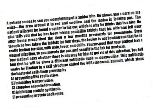 A patient comes to see you complaining of a spider bite. He shows you a sore on his wrist—the area around it is red and swollen, and the lesion is leaking pus. The patient tells you he found a spider in his car, which is why he thinks this is a bite. He also tells you that he has been taking penicillin tablets that his wife had left over after being prescribed the drug a few months previously for pneumonia. Even though he has taken the tablets for four days, the lesion is not healing and that he is really feeling terrible, with pain, fever, and chills. You suspect that your patient has a wound infection, so you sample the pus and send it to the lab for analysis.
-Your patient asks whether there is any way for him to get rid of this infection. You tell him that he will be given a different antibiotic such as doxycycline. This antibiotic works by binding to a cell structure called the 30S ribosomal subunit, which stops the bacterial cells from growing by
A) preventing DNA replication.
B) inhibiting transcription.
C) stopping capsule formation.
D) inhibiting protein synthesis.
E) preventing protein packaging.
