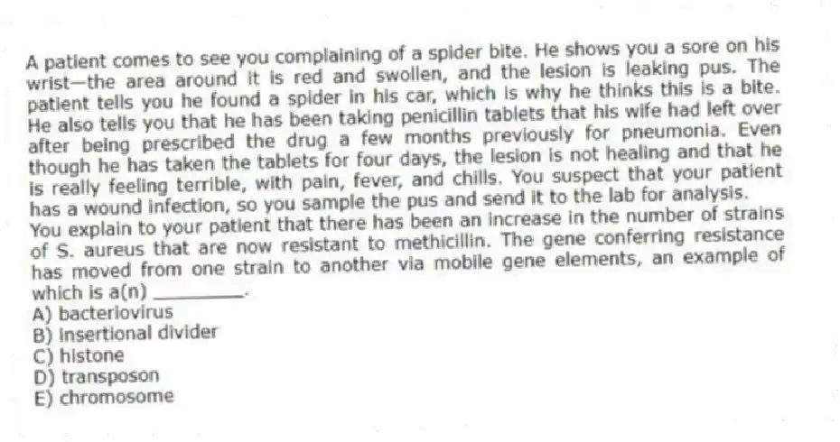 A patient comes to see you complaining of a spider bite. He shows you a sore on his wrist—the area around it is red and swollen, and the lesion is leaking pus. The patient tells you he found a spider in his car, which is why he thinks this is a bite. He also tells you that he has been taking penicillin tablets that his wife had left over after being prescribed the drug a few months previously for pneumonia. Even though he has taken the tablets for four days, the lesion is not healing and that he is really feeling terrible, with pain, fever, and chills. You suspect that your patient has a wound infection, so you sample the pus and send it to the lab for analysis.
-You explain to your patient that there has been an increase in the number of strains of S. aureus that are now resistant to methicillin. The gene conferring resistance has moved from one strain to another via mobile gene elements, an example of which is a(n) ________.
A) bacteriovirus
B) insertional divider
C) histone
D) transposon
E) chromosome
