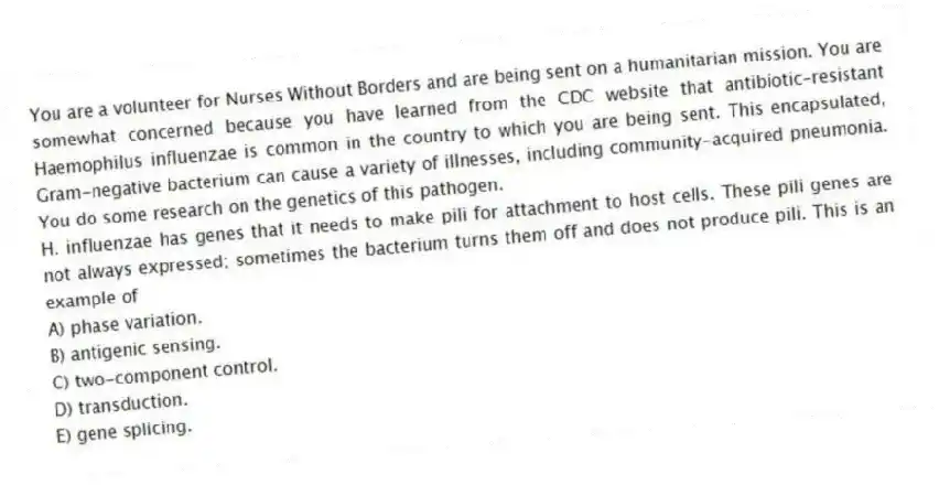 You are a volunteer for Nurses Without Borders and are being sent on a humanitarian mission. You are somewhat concerned because you have learned from the CDC website that antibiotic-resistant Haemophilus influenzae is common in the country to which you are being sent. This encapsulated, Gram-negative bacterium can cause a variety of illnesses, including community-acquired pneumonia. You do some research on the genetics of this pathogen.
-H. influenzae has genes that it needs to make pili for attachment to host cells. These pili genes are not always expressed; sometimes the bacterium turns them off and does not produce pili. This is an example of
A) phase variation.
B) antigenic sensing.
C) two-component control.
D) transduction.
E) gene splicing.