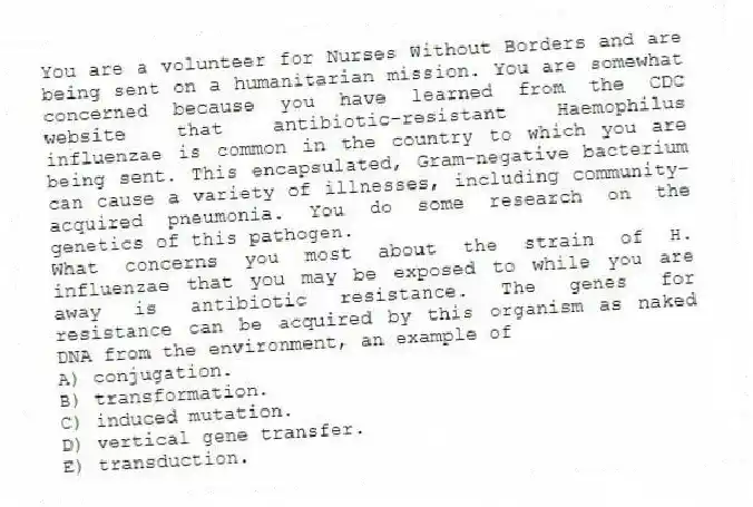 You are a volunteer for Nurses Without Borders and are being sent on a humanitarian mission. You are somewhat concerned because you have learned from the CDC website that antibiotic-resistant Haemophilus influenzae is common in the country to which you are being sent. This encapsulated, Gram-negative bacterium can cause a variety of illnesses, including community-acquired pneumonia. You do some research on the genetics of this pathogen.
-What concerns you most about the strain of H. influenzae that you may be exposed to while you are away is antibiotic resistance. The genes for resistance can be acquired by this organism as naked DNA from the environment, an example of
A) conjugation.
B) transformation.
C) induced mutation.
D) vertical gene transfer.
E) transduction.