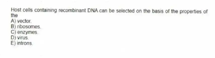 Host cells containing recombinant DNA can be selected on the basis of the properties of the
A) vector.
B) ribosomes.
C) enzymes.
D) virus.
E) introns.