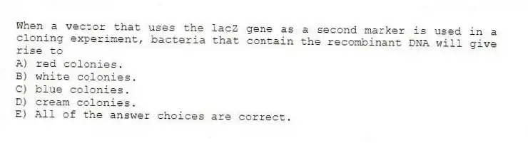 When a vector that uses the lacZ gene as a second marker is used in a cloning experiment, bacteria that contain the recombinant DNA will give rise to
A) red colonies.
B) white colonies.
C) blue colonies.
D) cream colonies.
E) All of the answer choices are correct.