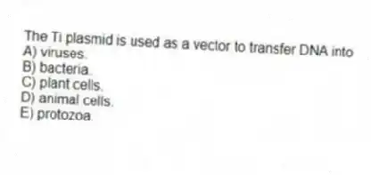 The Ti plasmid is used as a vector to transfer DNA into
A) viruses.
B) bacteria.
C) plant cells.
D) animal cells.
E) protozoa.