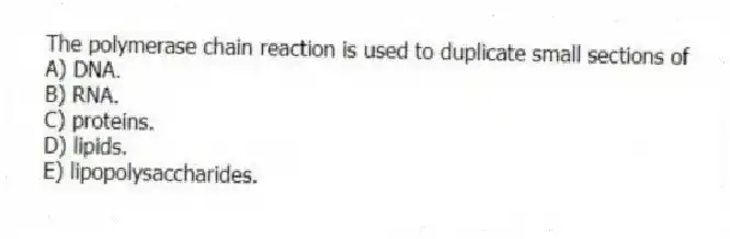 The polymerase chain reaction is used to duplicate small sections of
A) DNA.
B) RNA.
C) proteins.
D) lipids.
E) lipopolysaccharides.