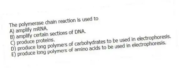 The polymerase chain reaction is used to
A) amplify mRNA.
B) amplify certain sections of DNA.
C) produce proteins.
D) produce long polymers of carbohydrates to be used in electrophoresis.
E) produce long polymers of amino acids to be used in electrophoresis.