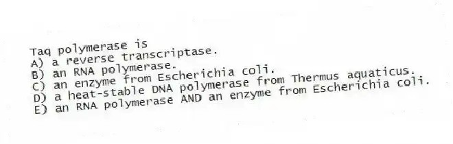 Taq polymerase is
A) a reverse transcriptase.
B) an RNA polymerase.
C) an enzyme from Escherichia coli.
D) a heat-stable DNA polymerase from Thermus aquaticus.
E) an RNA polymerase AND an enzyme from Escherichia coli.