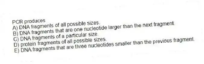 PCR produces
A) DNA fragments of all possible sizes.
B) DNA fragments that are one nucleotide larger than the next fragment.
C) DNA fragments of a particular size.
D) protein fragments of all possible sizes.
E) DNA fragments that are three nucleotides smaller than the previous fragment.