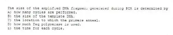 The size of the amplified DNA fragment generated during PCR is determined by
A) how many cycles are performed.
B) the size of the template DNA.
C) the location to which the primers anneal.
D) how much Taq polymerase is used.
E) the time for each cycle.