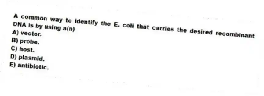A common way to identify the E. coli that carries the desired recombinant DNA is by using a(n)
A) vector.
B) probe.
C) host.
D) plasmid.
E) antibiotic.