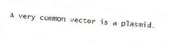 A very common vector is a plasmid.