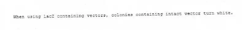 When using lacZ containing vectors, colonies containing intact vector turn white.