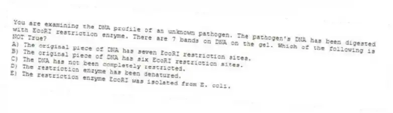 You are examining the DNA profile of an unknown pathogen. The pathogen's DNA has been digested with EcoRI restriction enzyme. There are 7 bands on DNA on the gel. Which of the following is NOT True?
A) The original piece of DNA has seven EcoRI restriction sites.
B) The original piece of DNA has six EcoRI restriction sites.
C) The DNA has not been completely restricted.
D) The restriction enzyme has been denatured.
E) The restriction enzyme EcoRI was isolated from E. coli.