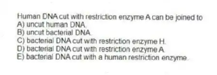 Human DNA cut with restriction enzyme A can be joined to
A) uncut human DNA.
B) uncut bacterial DNA.
C) bacterial DNA cut with restriction enzyme H.
D) bacterial DNA cut with restriction enzyme A.
E) bacterial DNA cut with a human restriction enzyme.