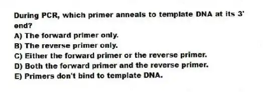 During PCR, which primer anneals to template DNA at its 3' end?
A) The forward primer only.
B) The reverse primer only.
C) Either the forward primer or the reverse primer.
D) Both the forward primer and the reverse primer.
E) Primers don't bind to template DNA.