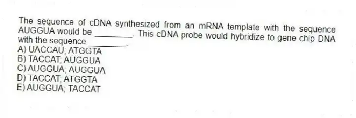 The sequence of cDNA synthesized from an mRNA template with the sequence AUGGUA would be ________. This cDNA probe would hybridize to gene chip DNA with the sequence ________.
A) UACCAU; ATGGTA
B) TACCAT; AUGGUA
C) AUGGUA; AUGGUA
D) TACCAT; ATGGTA
E) AUGGUA; TACCAT