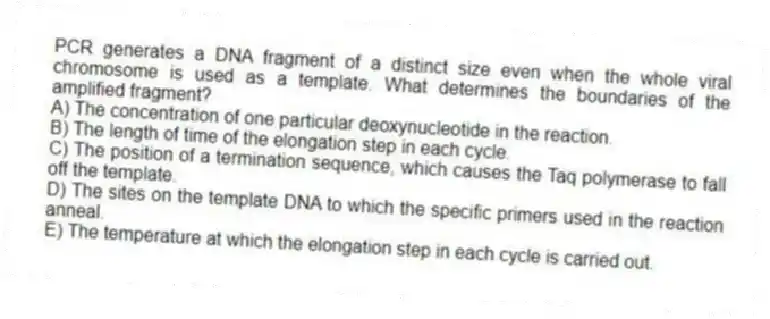 PCR generates a DNA fragment of a distinct size even when the whole viral chromosome is used as a template. What determines the boundaries of the amplified fragment?
A) The concentration of one particular deoxynucleotide in the reaction.
B) The length of time of the elongation step in each cycle.
C) The position of a termination sequence, which causes the Taq polymerase to fall off the template.
D) The sites on the template DNA to which the specific primers used in the reaction anneal.
E) The temperature at which the elongation step in each cycle is carried out.